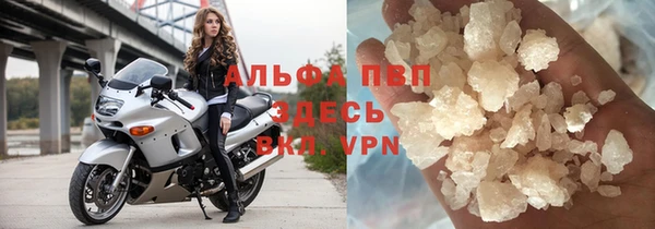 стафф Алексин