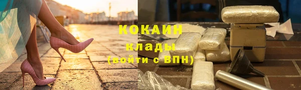стафф Алексин