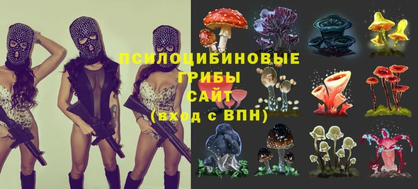 spice Алзамай